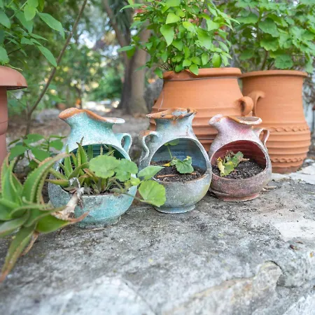 House Of Dimitra Gaios
