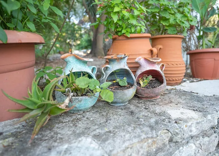 House Of Dimitra Gaios